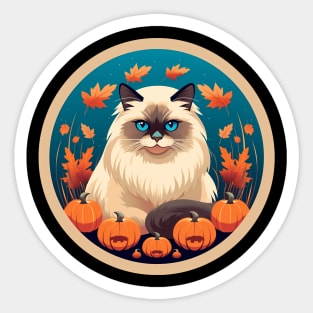 Birman Cat Halloween, Cat Lover Sticker